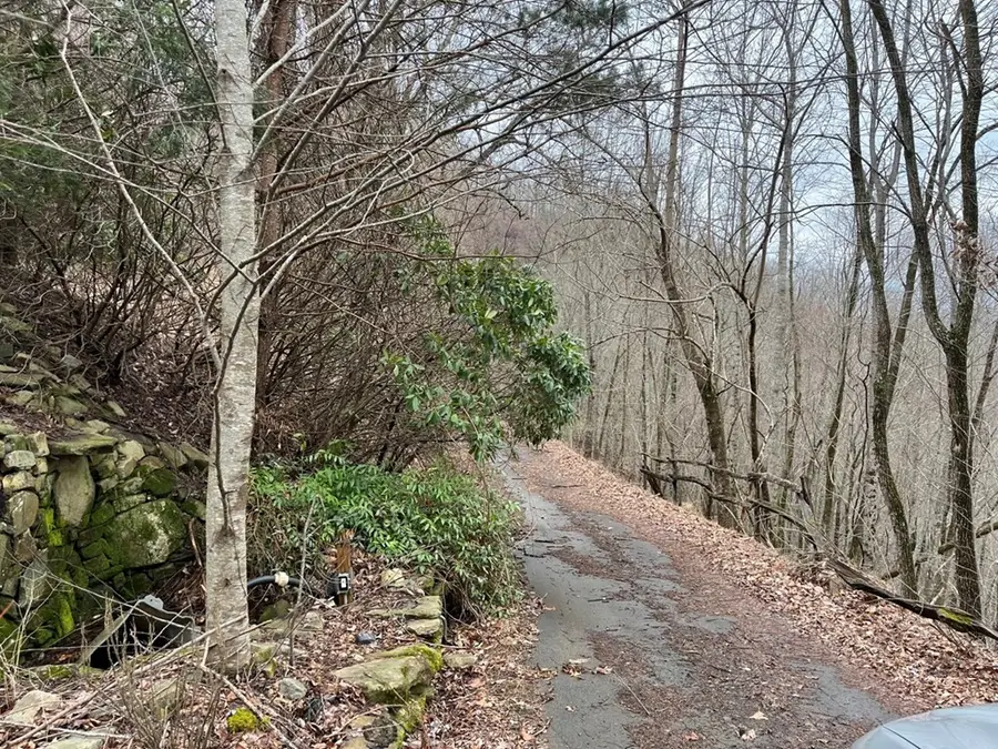 19 Lots Crockett, Hayesville, NC 28904 - #3