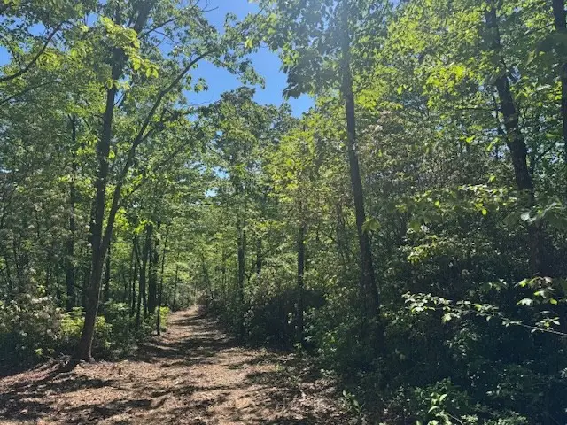 00 Coalville Road, Valleytown, NC 28901 - #2