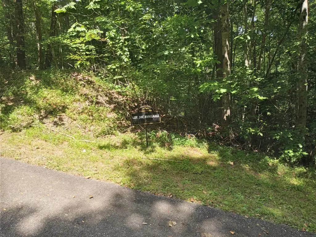 38C Ashe Branch Circle, Hayesville, NC 28904 - #1