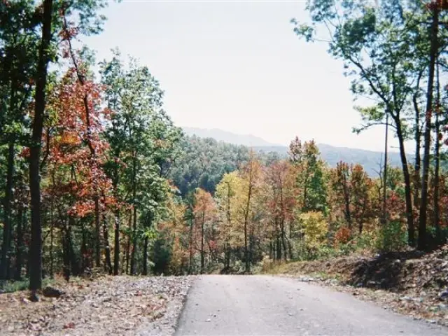 850 Bluff Road, Marble, NC 28905 - #2
