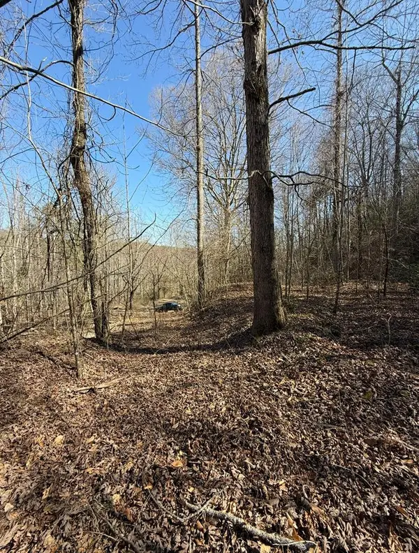 TBD Royal Oaks Trail, Brasstown, NC 28902