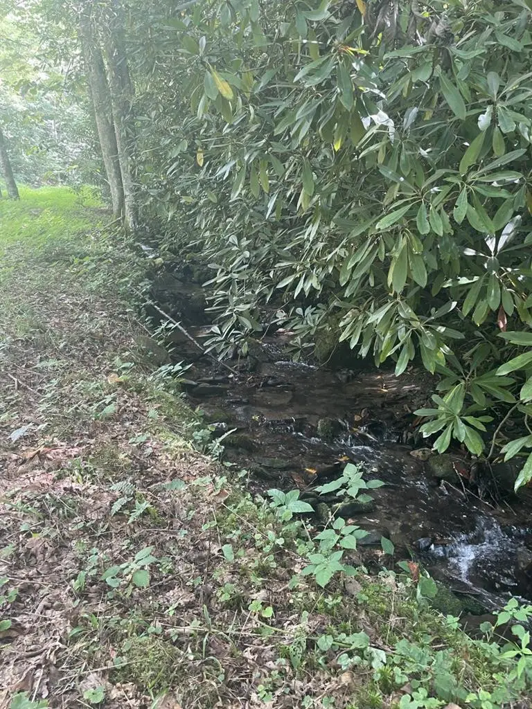 Lot17/18 Long Creek Lane, Bryson City, NC 28713 - #1