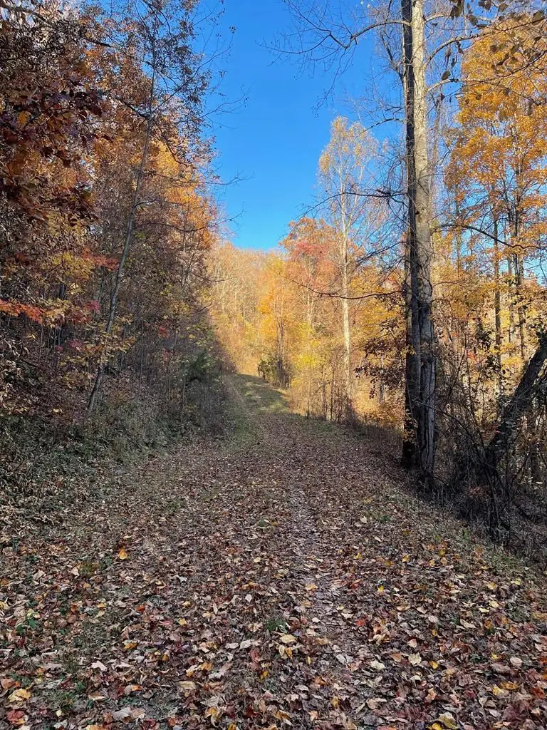 Lot 51J Indian Trail, Hayesville, NC 28904 - #3