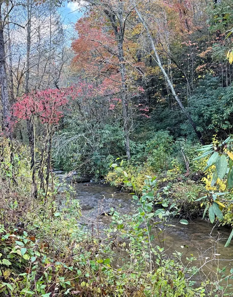 Lot 62 & Creek Lot A, Stone Ridge Falls, Murphy, NC 28906 - #2