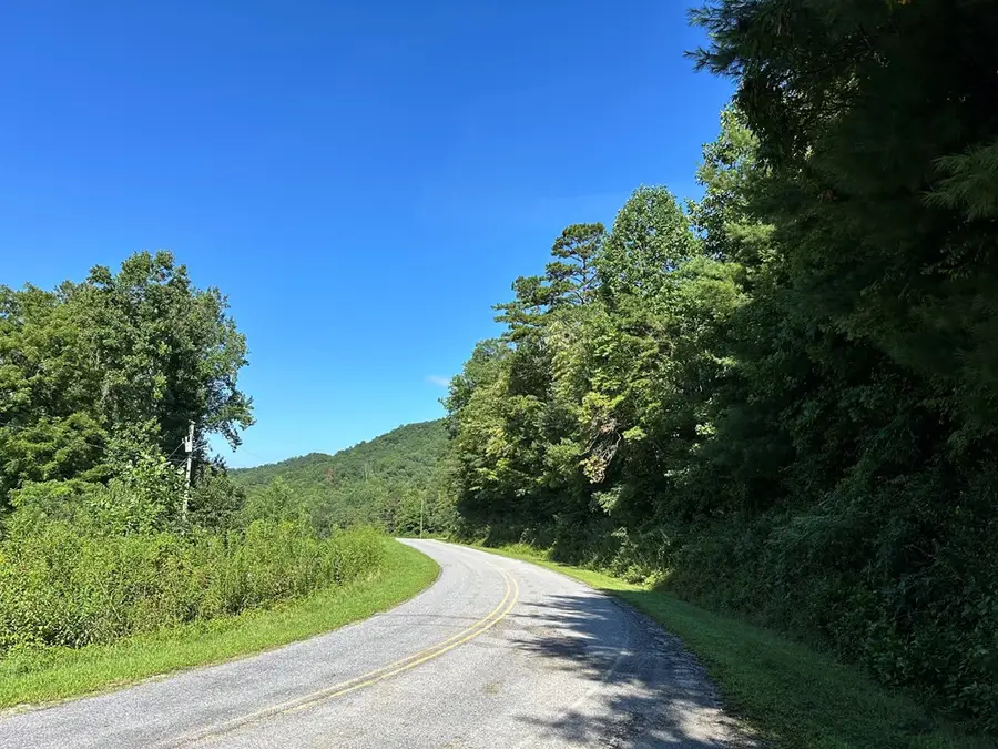 00 Burnt Leaf, Hayesville, NC 28904 - #2