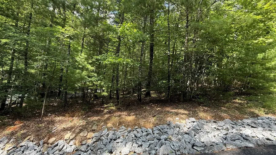 Lot 45 Granite Drive, Hayesville, NC 28904 - #3