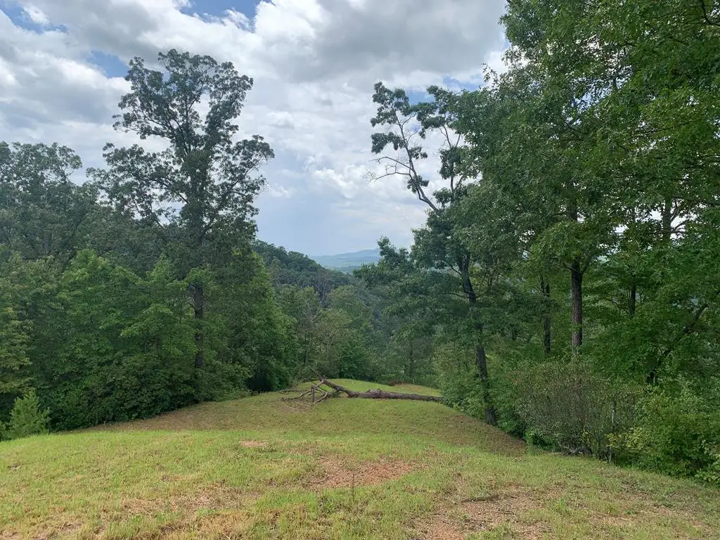 44 & 45 Silo View Lane, Marble, NC 28905 - #1