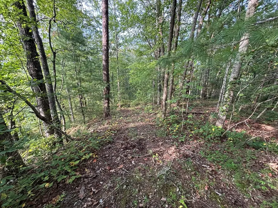 Lot 7 Madison Lane, Robbinsville, NC 28771 - #2