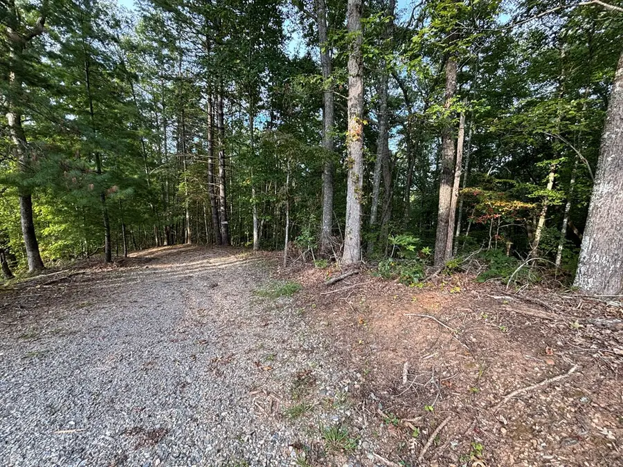 Lot 7 Madison Lane, Robbinsville, NC 28771 - #3