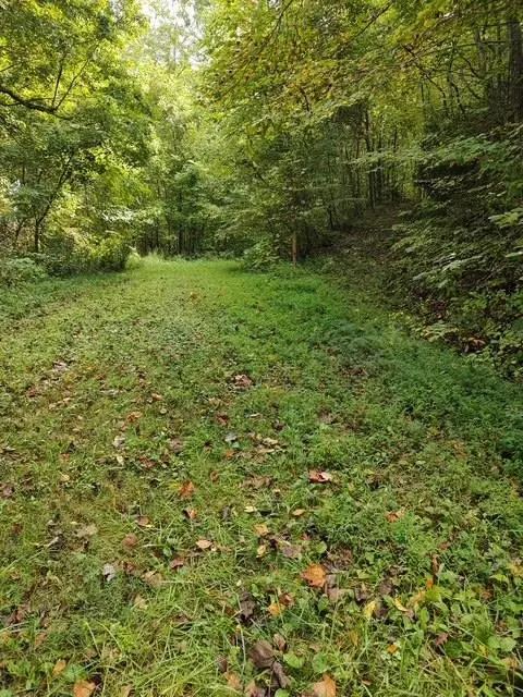 0 Yellow Branch Sr 1241, Robbinsville, NC 28771 - #1