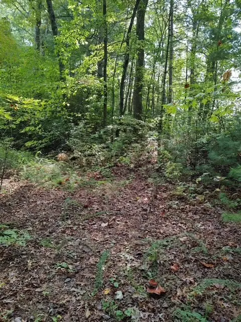 0 Yellow Branch Sr 1241, Robbinsville, NC 28771 - #3