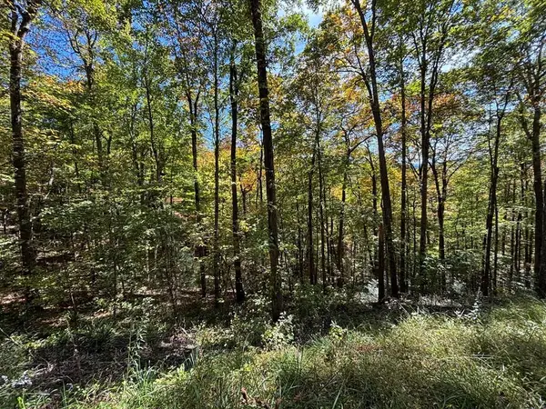 2 lots Holly Ridge Road, Nantahala, NC 28781