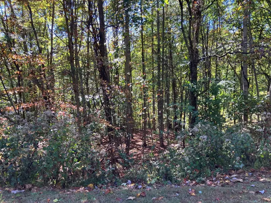 28/29 Sanctuary Drive, Murphy, NC 28906 - #2