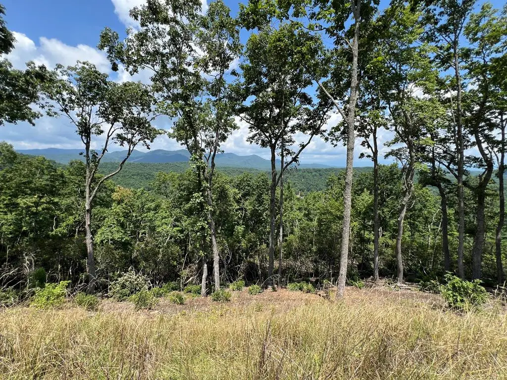 Lot 182 Skyline View Drive, Murphy, NC 28906 - #1