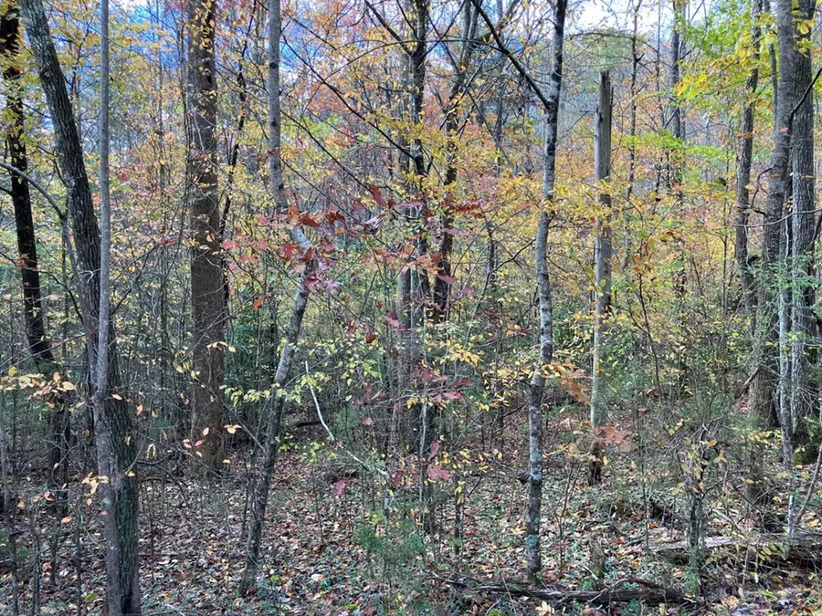 39a Hedden Stiles, Murphy, NC 28906 - #2