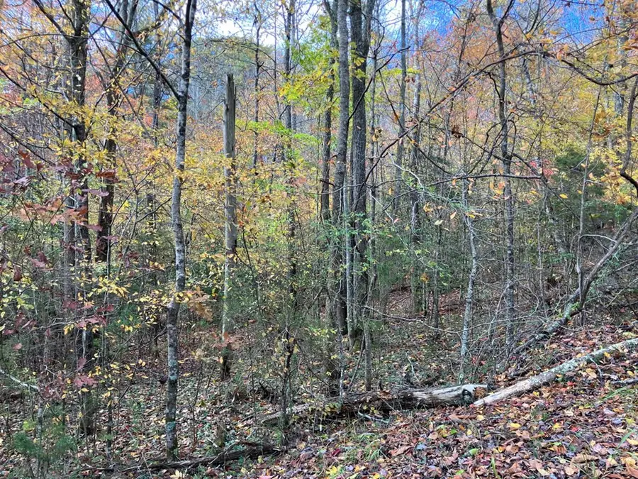 39a Hedden Stiles, Murphy, NC 28906 - #3