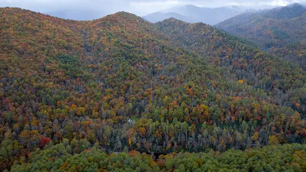 139 Land Iu Gap Road, Robbinsville, NC 28771