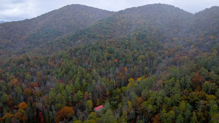 139 Land Iu Gap Road, Robbinsville, NC 28771 - #3