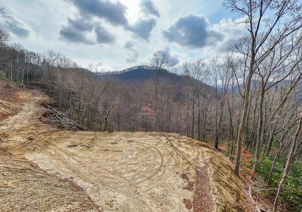Lot 20 Walnut Cove Branch, Robbinsville, NC 28771 - #1