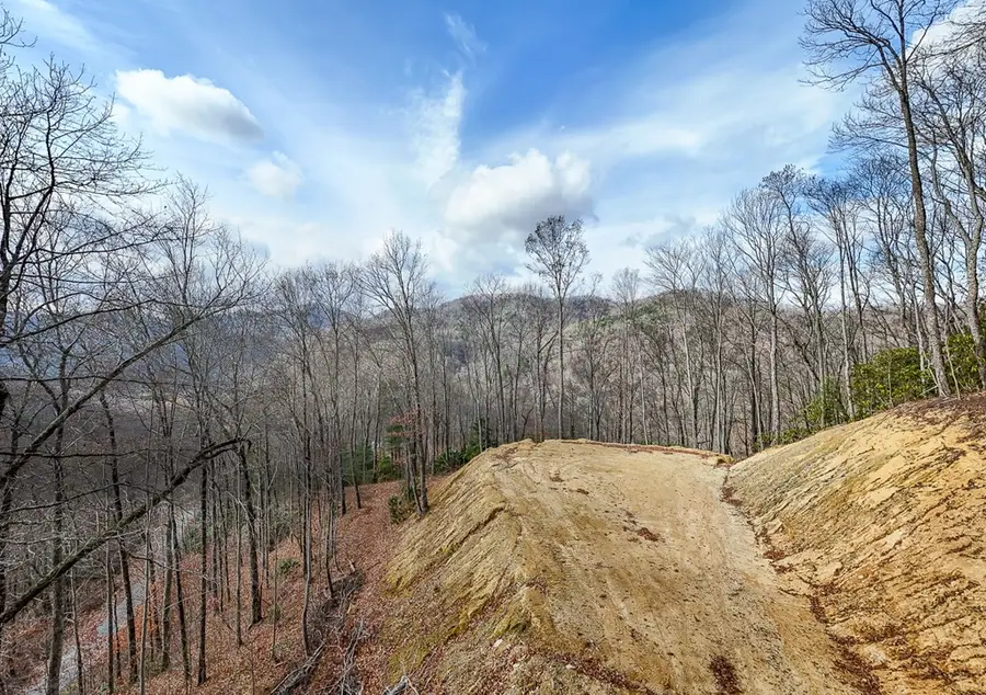 Lot 20 Walnut Cove Branch, Robbinsville, NC 28771 - #2