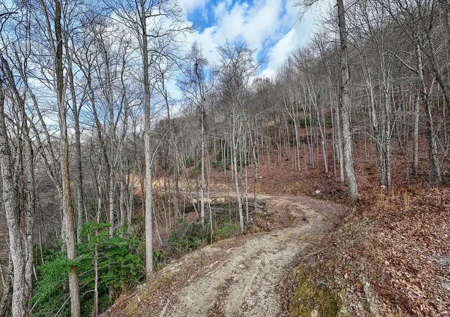 Lot 20 Walnut Cove Branch, Robbinsville, NC 28771 - #3
