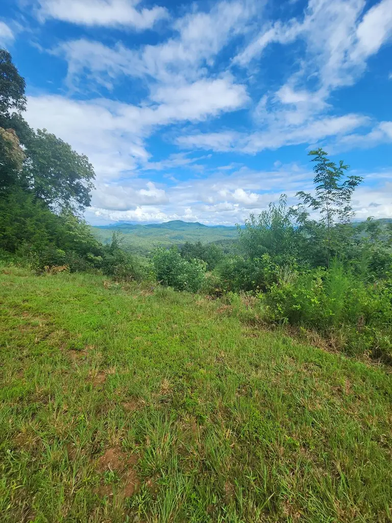 00 Soaring Eagle, Murphy, NC 28906 - #3