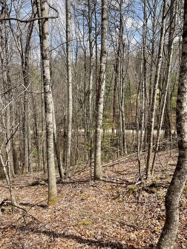 00 Hidden Lakes, Topton, NC 28781