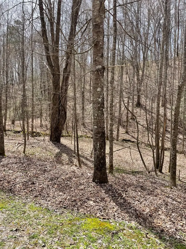 00 Hidden Lakes, Topton, NC 28781 - #2