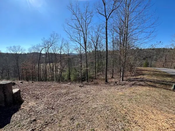 17 Fish Hawk Ridge, Murphy, NC 28906
