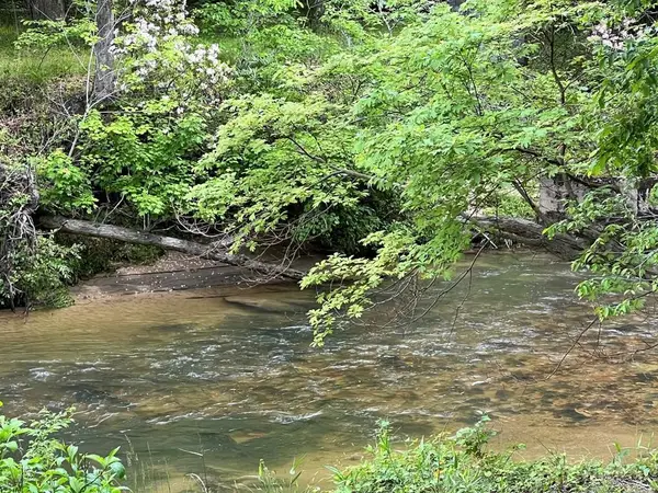 Lot 52 Madeline Way, Blairsville, GA 30512