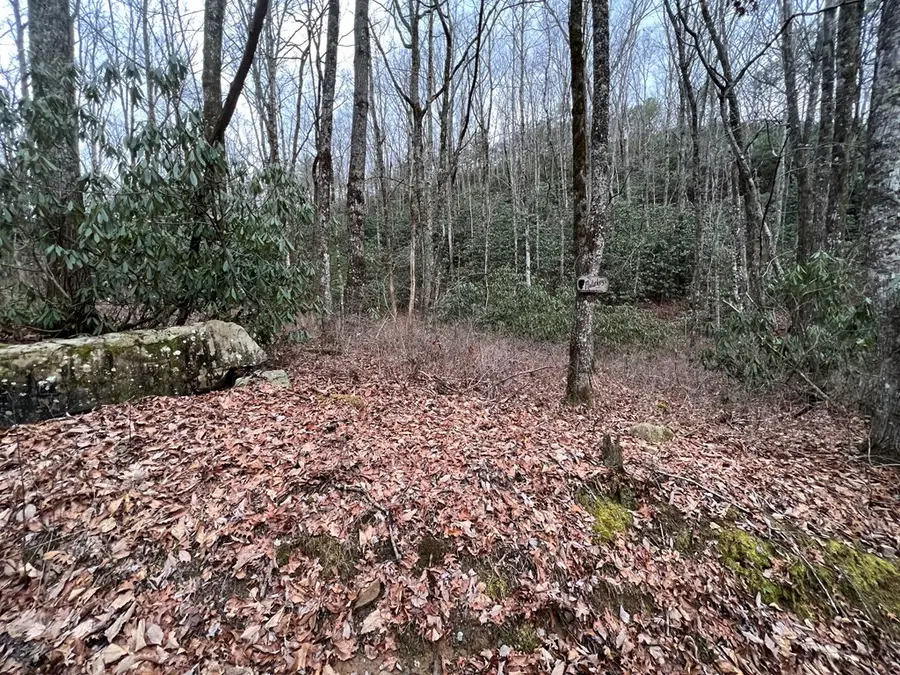 Lot 170 Granny Squirrel Drive, Andrews, NC 28901 - #3