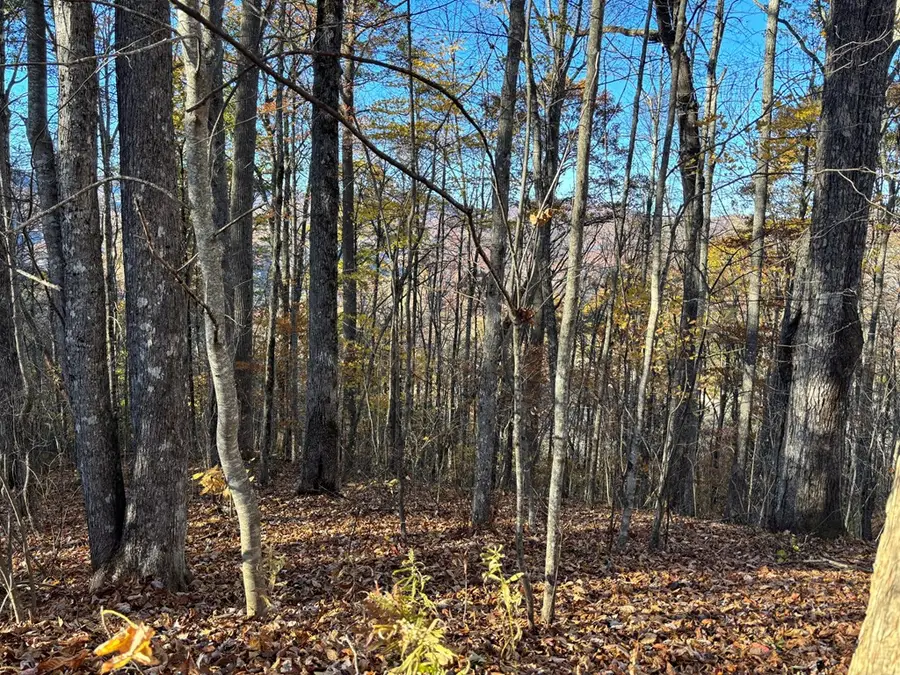 Lot#39 Falcon Stone Ridge, Nantahala, NC 28781 - #2