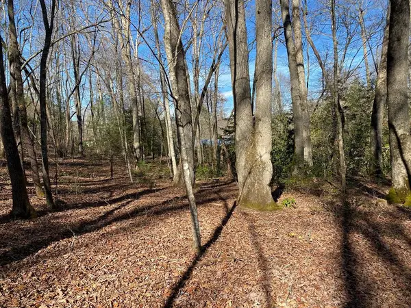 TBD Collett Wood Cove, Andrews, NC 28901