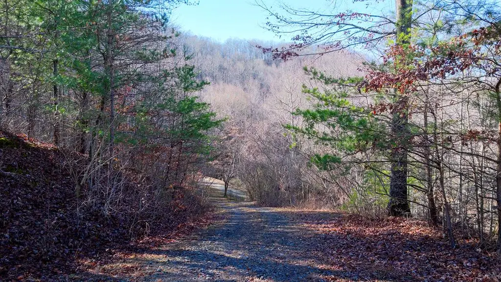 1-3 Santeetlah Heights, Robbinsville, NC 28771 - #1