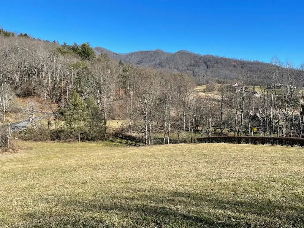 Lot 21C Ash Branch Circle, Hayesville, NC 28904 - #1