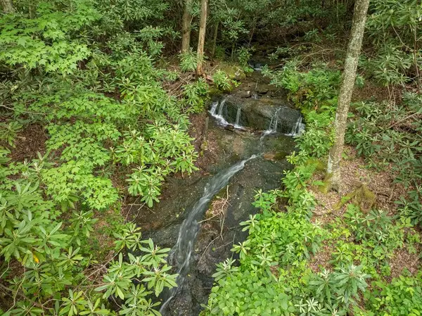 00 Walnut Cove Branch, Robbinsville, NC 28771