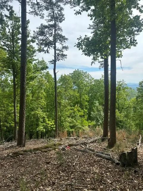 Lot 4 Hampton Knob, Murphy, NC 28906 - #3