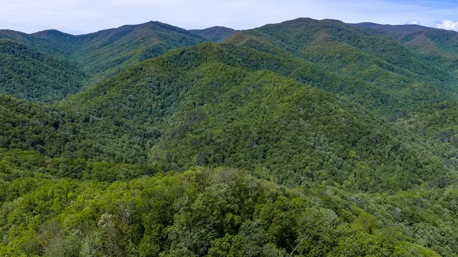 4700 W Buffalo Road, Robbinsville, NC 28771 - #3