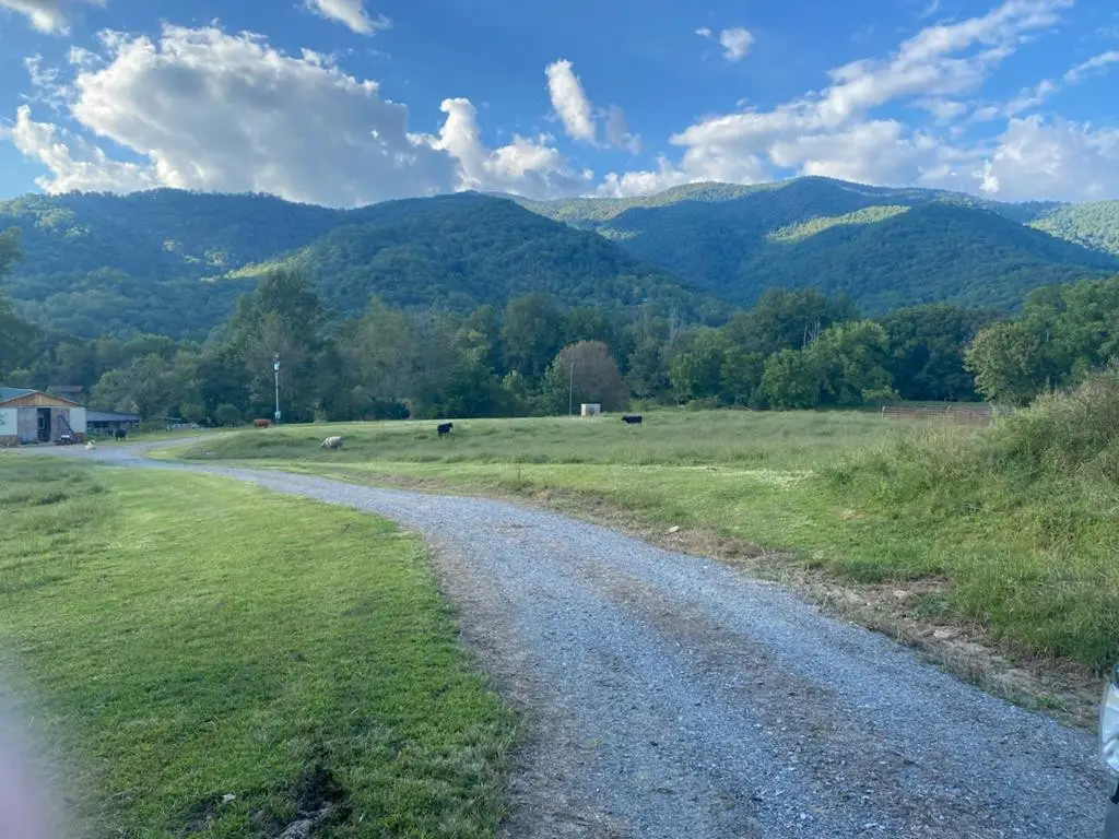 10617 Highway 64 E, Hayesville, NC 28904 - #1