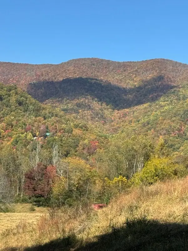10617 Highway 64 E, Hayesville, NC 28904 - #2