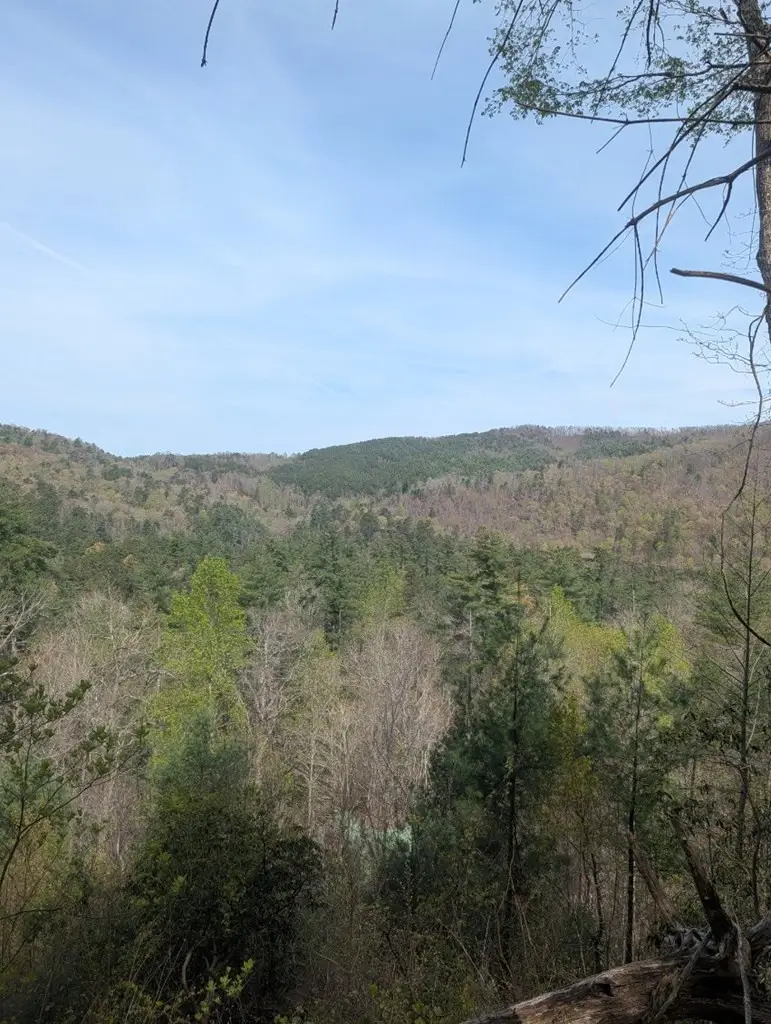 Lt 7A Lake Appalachia Acres Drive, Murphy, NC 28906 - #2
