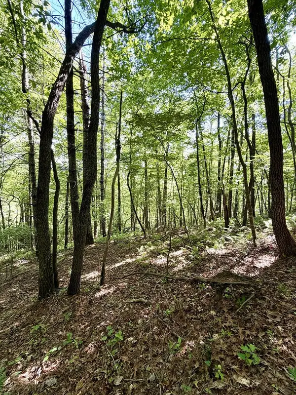 675 Ed Graves Road, Murphy, NC 28906