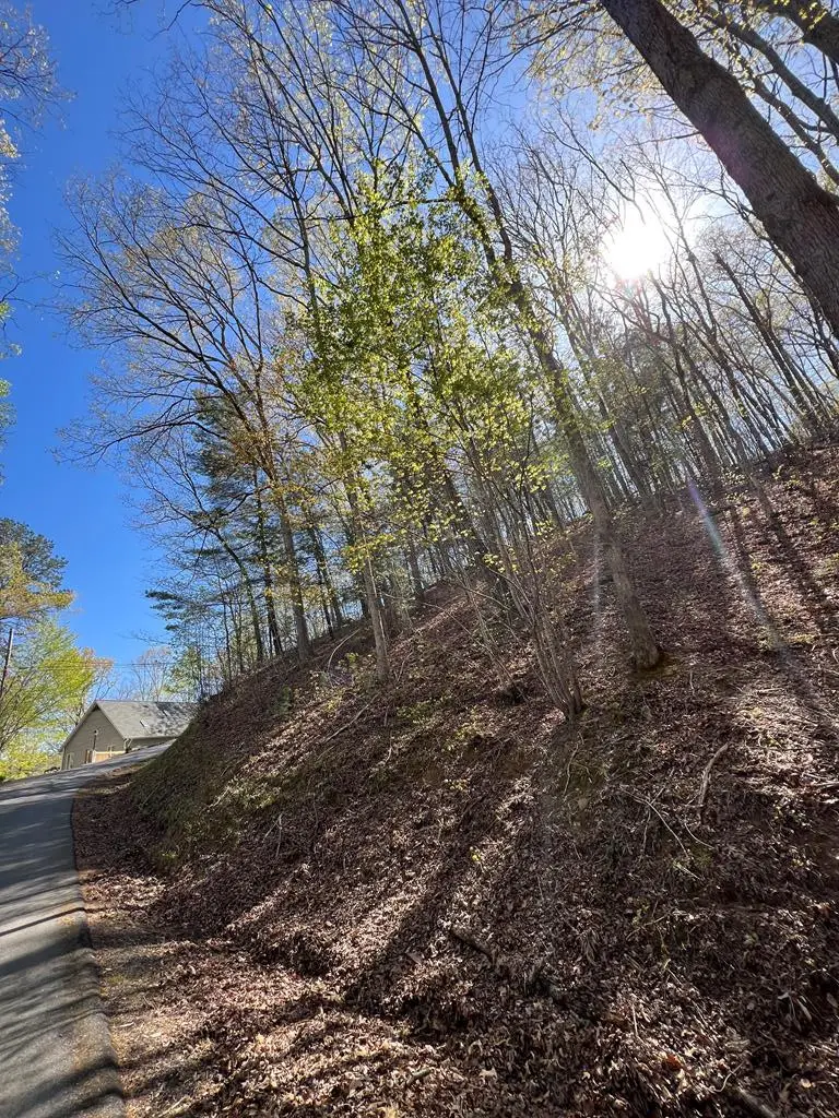 Lot 2 Lonesome Pine, Murphy, NC 28906 - #1
