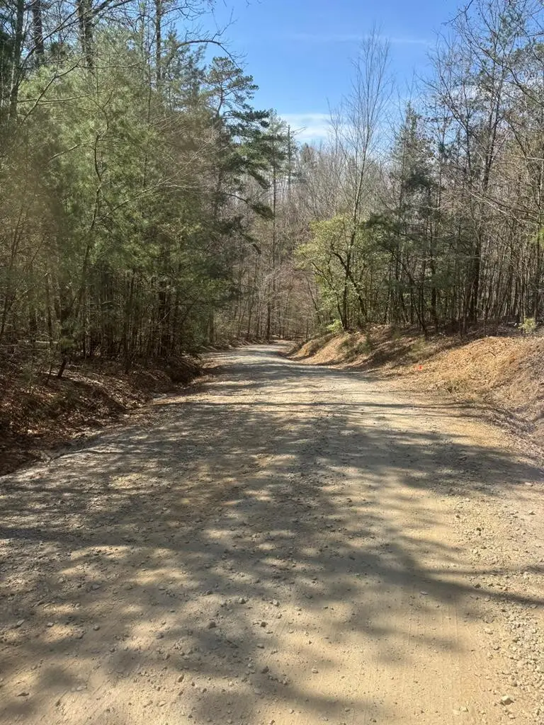 00 Blue Ridge Heights, Notla, NC 28906 - #1