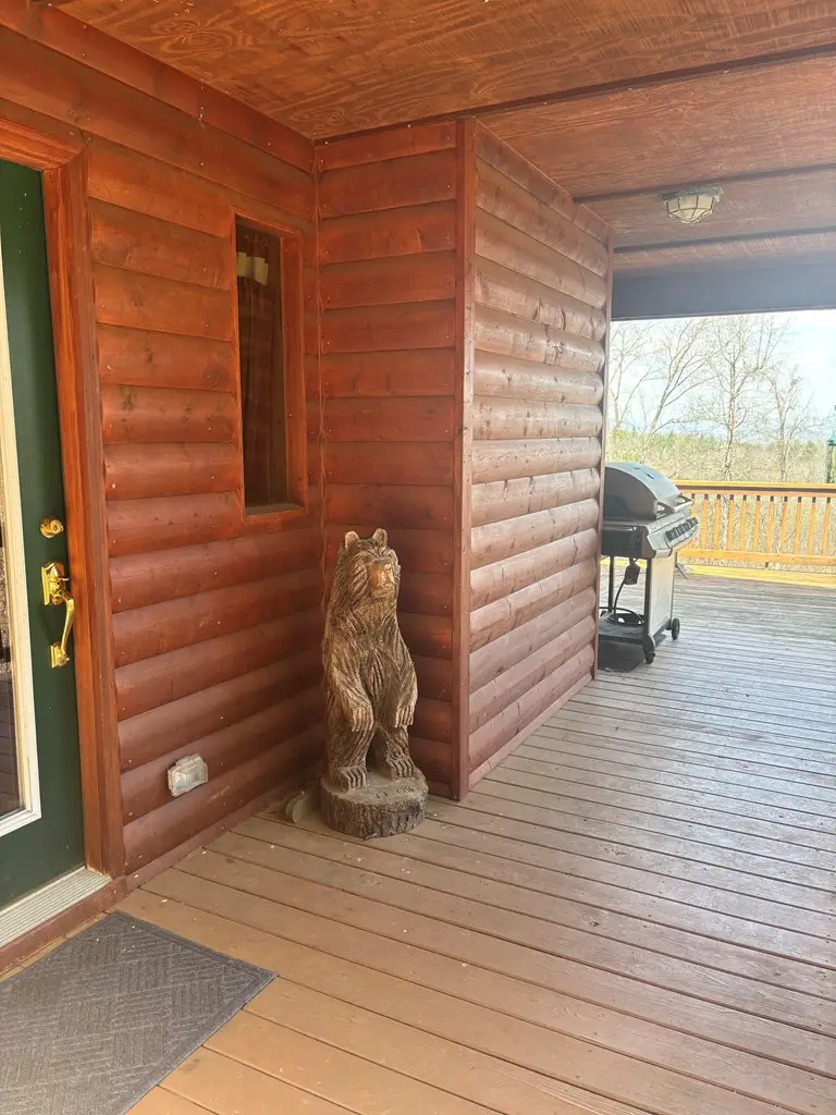 380 Buck Ridge Drive, Murphy, NC 28906 - #3