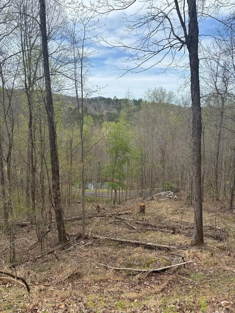 Lot 4 Buck Ridge Drive, Murphy, NC 28906 - #1