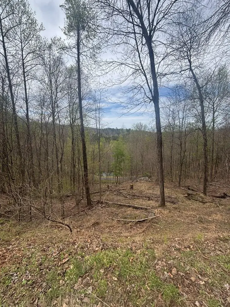 Lot 4 Buck Ridge Drive, Murphy, NC 28906 - #3