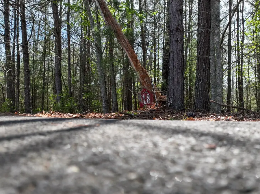 Lot 18 Flowing Springs Drive, Murphy, NC 28906 - #3