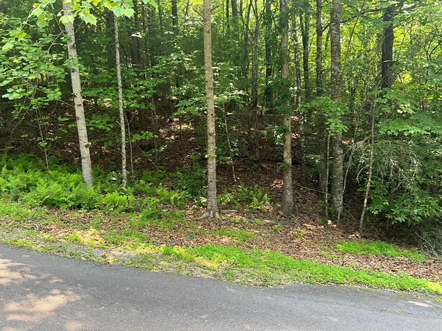 5 Birds View Lane, Murphy, NC 28906 - #3