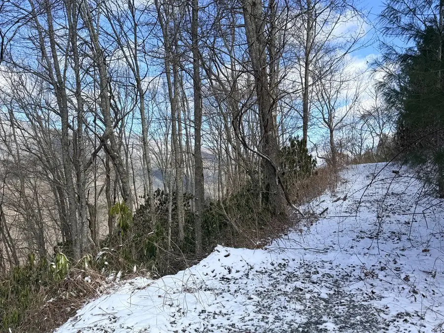 TBD Noon Day, Topton, NC 28781 - #2